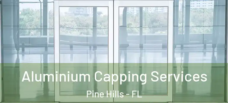  Aluminium Capping Services Pine Hills - FL