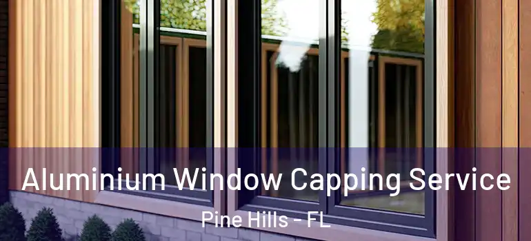  Aluminium Window Capping Service Pine Hills - FL