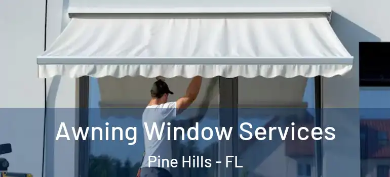  Awning Window Services Pine Hills - FL
