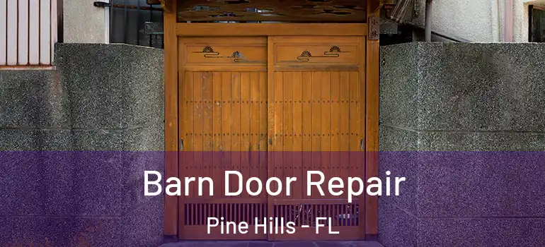 Barn Door Repair Pine Hills - FL