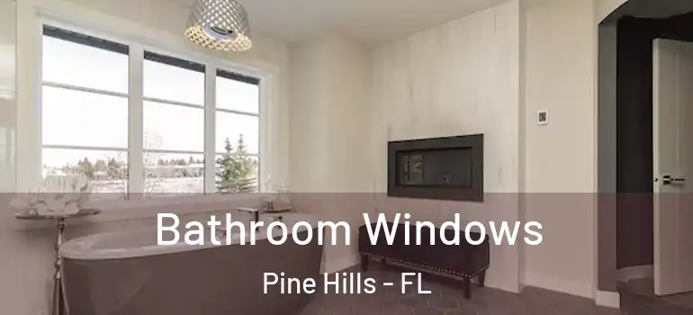  Bathroom Windows Pine Hills - FL