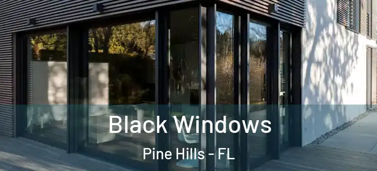  Black Windows Pine Hills - FL