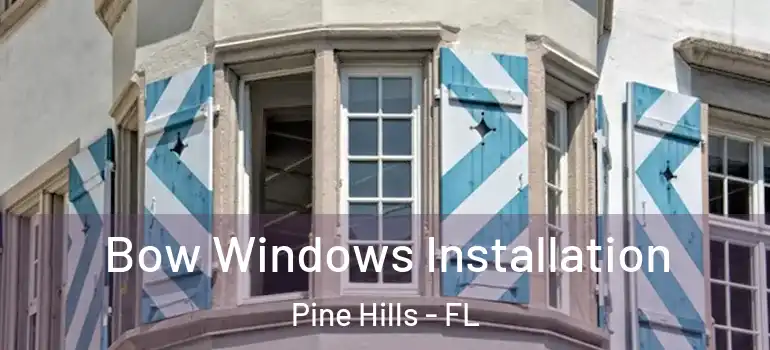  Bow Windows Installation Pine Hills - FL
