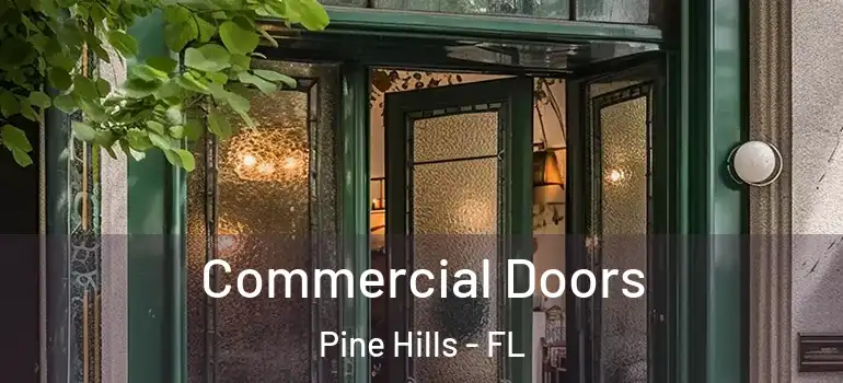  Commercial Doors Pine Hills - FL