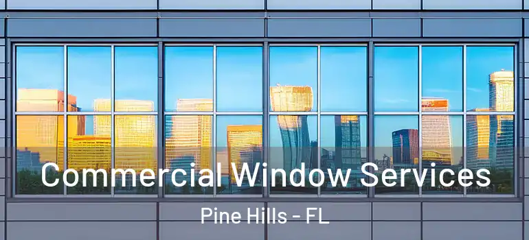 Commercial Window Services Pine Hills - FL