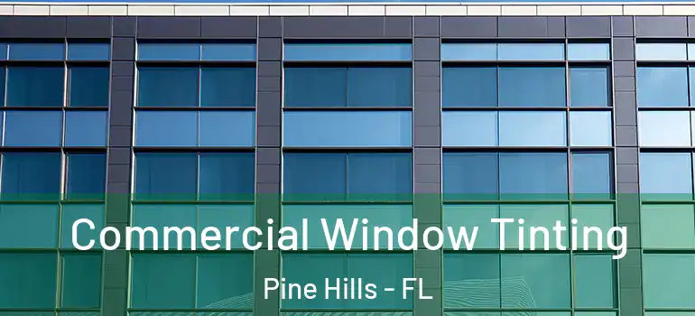  Commercial Window Tinting Pine Hills - FL
