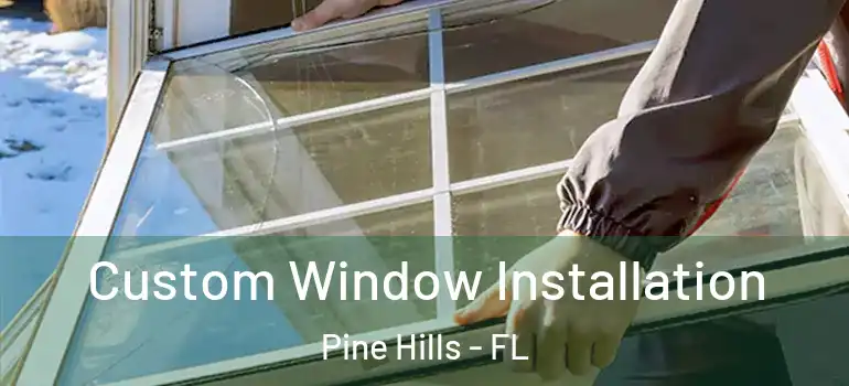  Custom Window Installation Pine Hills - FL