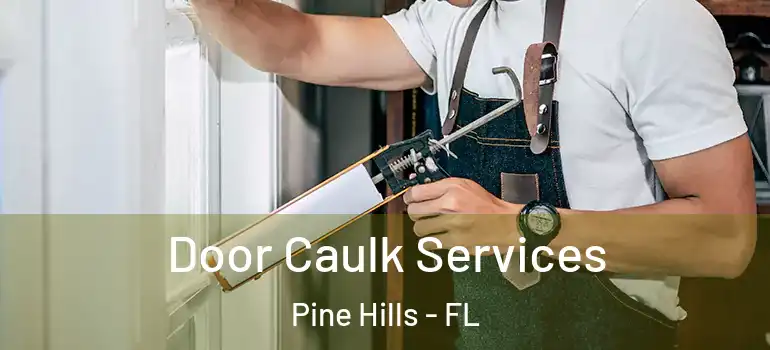  Door Caulk Services Pine Hills - FL