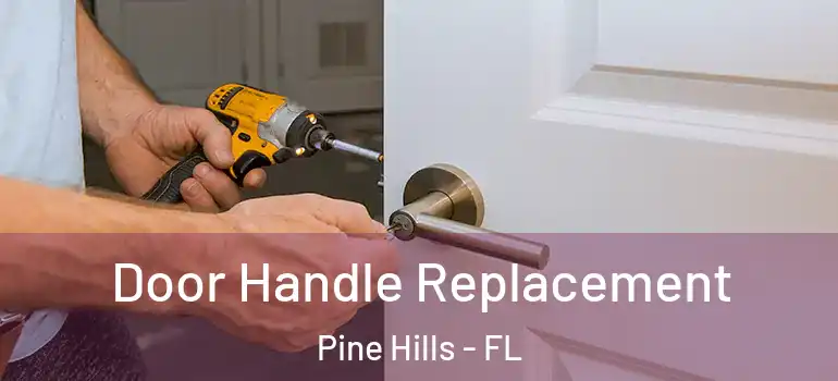  Door Handle Replacement Pine Hills - FL