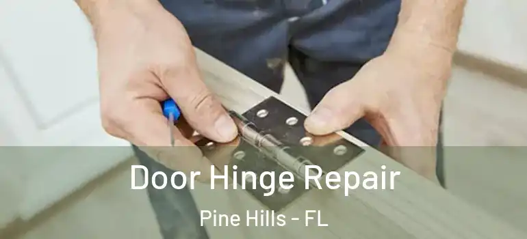  Door Hinge Repair Pine Hills - FL