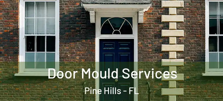  Door Mould Services Pine Hills - FL