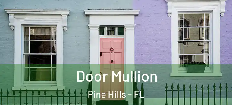 Door Mullion Pine Hills - FL