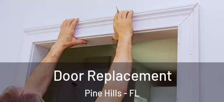  Door Replacement Pine Hills - FL