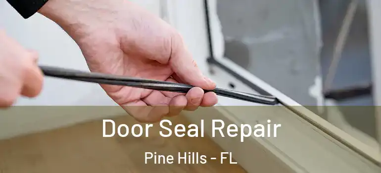  Door Seal Repair Pine Hills - FL