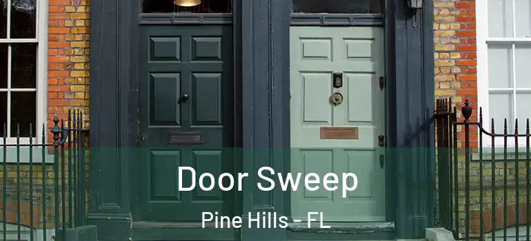  Door Sweep Pine Hills - FL