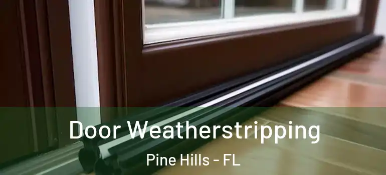  Door Weatherstripping Pine Hills - FL