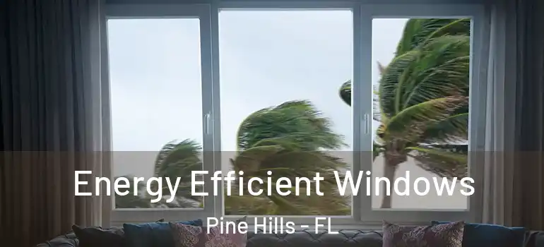  Energy Efficient Windows Pine Hills - FL
