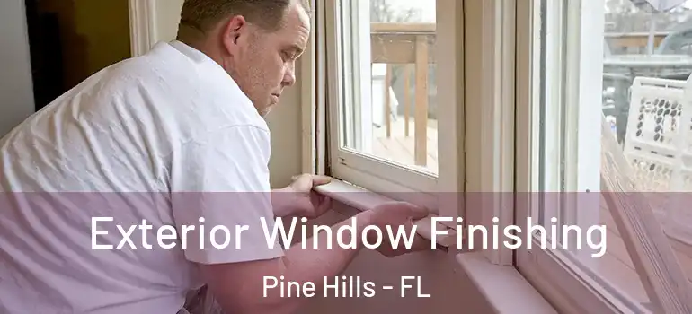  Exterior Window Finishing Pine Hills - FL