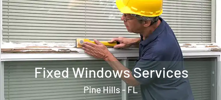  Fixed Windows Services Pine Hills - FL