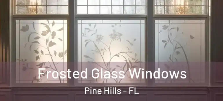  Frosted Glass Windows Pine Hills - FL