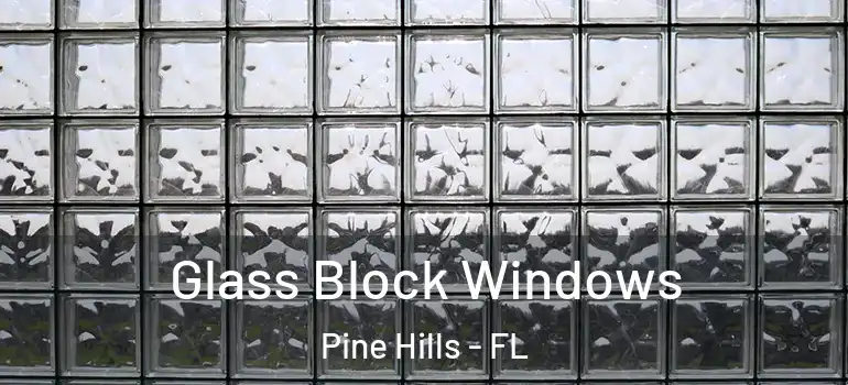 Glass Block Windows Pine Hills - FL