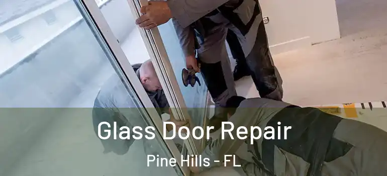  Glass Door Repair Pine Hills - FL