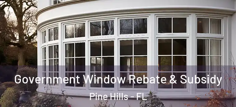  Government Window Rebate & Subsidy Pine Hills - FL