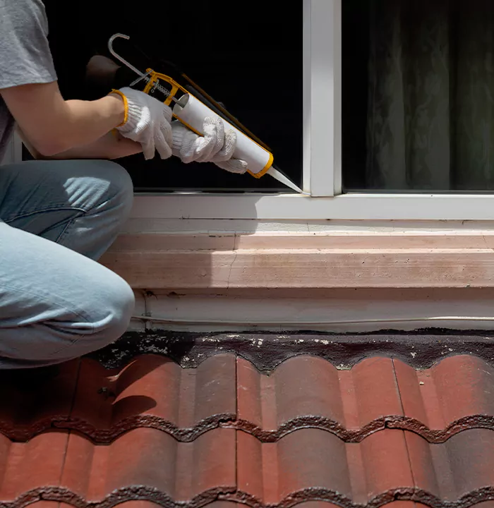 Roof Window Services in Pine Hills, Florida