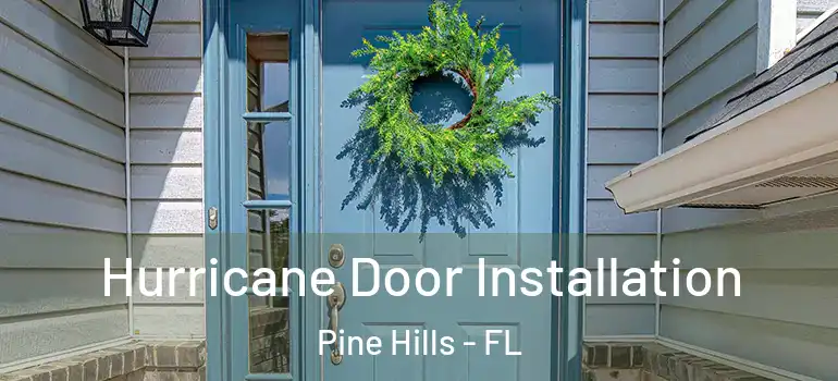  Hurricane Door Installation Pine Hills - FL