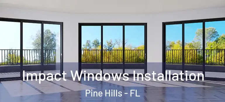  Impact Windows Installation Pine Hills - FL