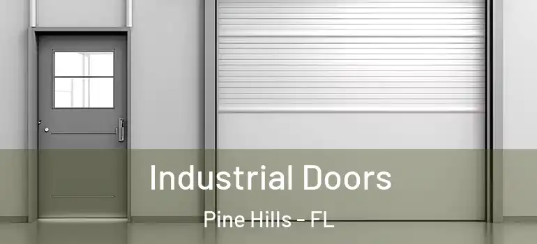  Industrial Doors Pine Hills - FL