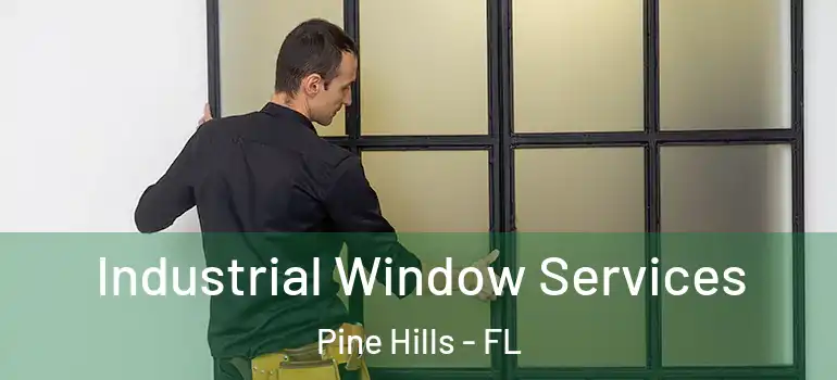 Industrial Window Services Pine Hills - FL