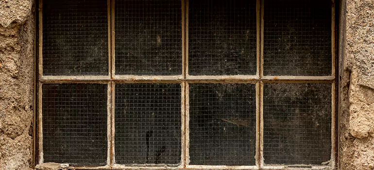 Traditional Double Front Doors in Pine Hills, FL
