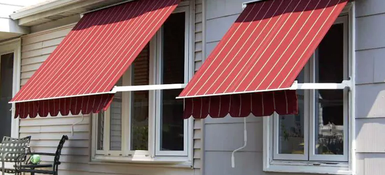 Government Rebate Window Replacement in Pine Hills, FL