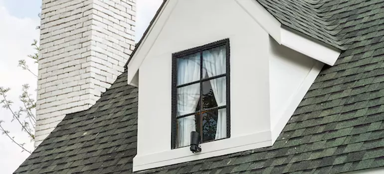 Roof Window Repair in Pine Hills, FL