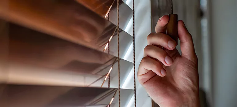 Double Roller Blinds in Pine Hills, FL