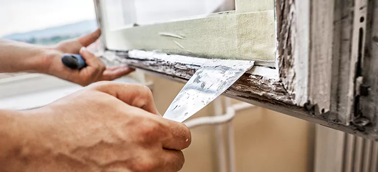 Exterior Window Frame Repair in Pine Hills, FL