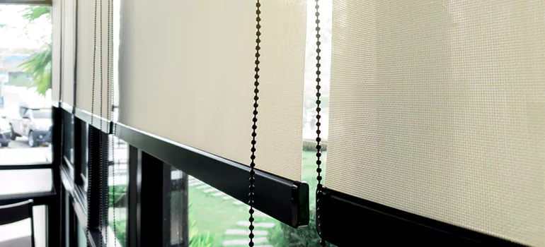 Blackout Window Shades in Pine Hills, FL