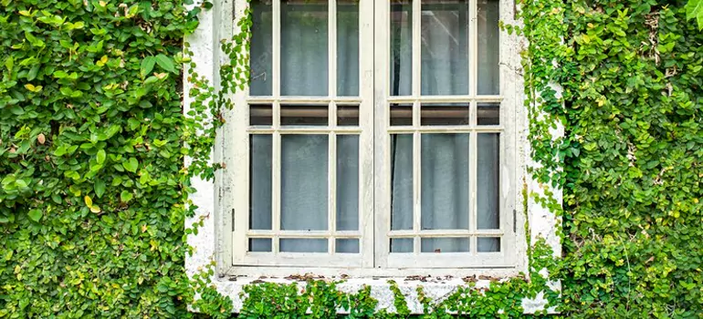 Garden Window Repair Near Me in Pine Hills, FL
