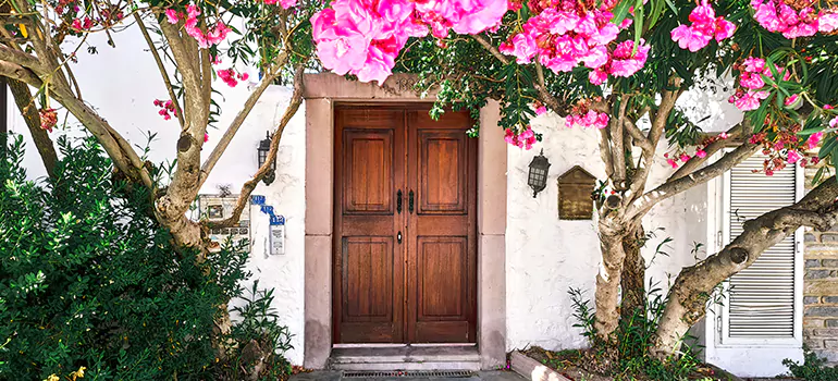 Traditional 4 Panel Internal Doors in Pine Hills, FL