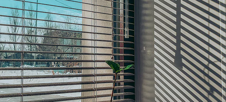 Commercial Window Blinds in Pine Hills, FL