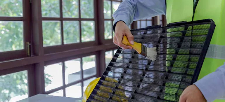 Traditional Window Grille Installation Options in Pine Hills, FL