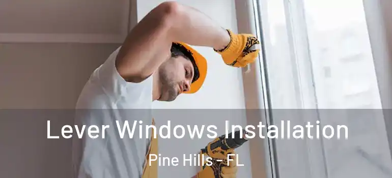Lever Windows Installation Pine Hills - FL
