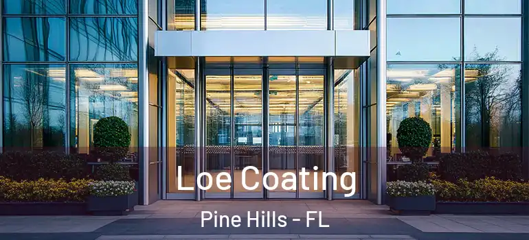  Loe Coating Pine Hills - FL