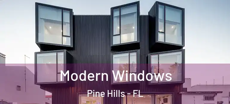  Modern Windows Pine Hills - FL