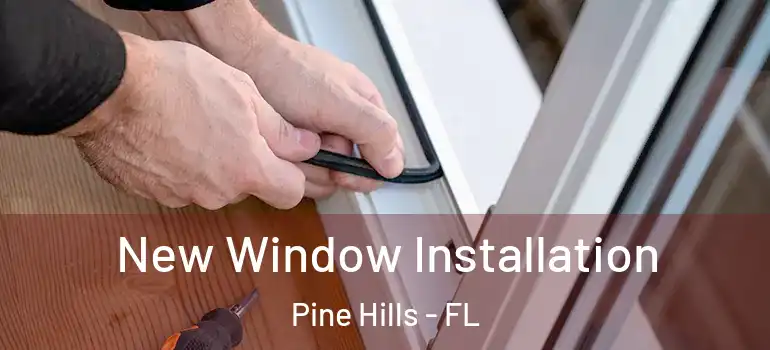  New Window Installation Pine Hills - FL