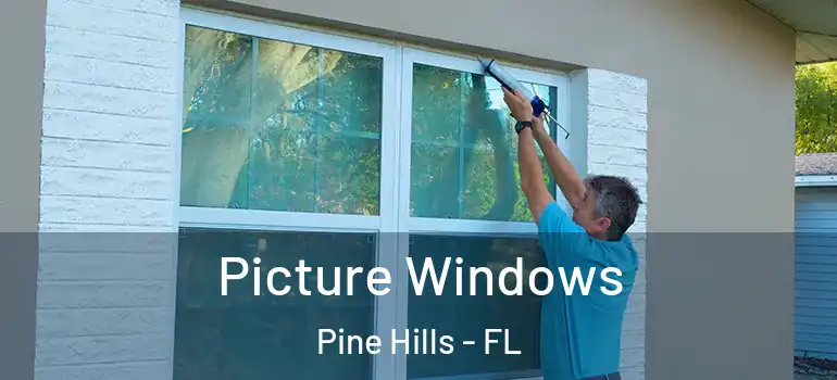  Picture Windows Pine Hills - FL