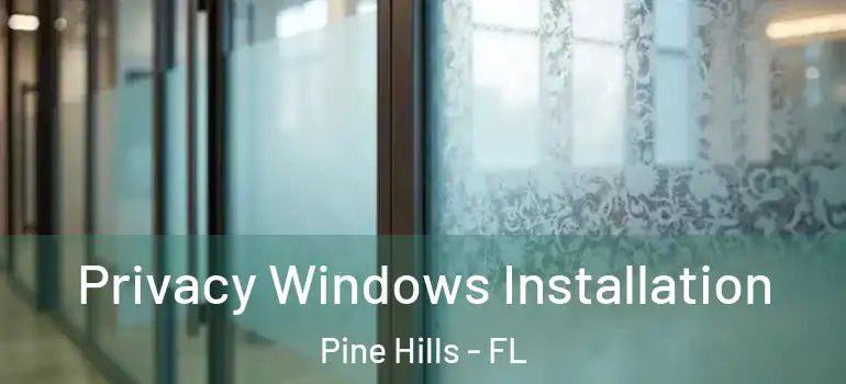  Privacy Windows Installation Pine Hills - FL