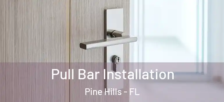  Pull Bar Installation Pine Hills - FL