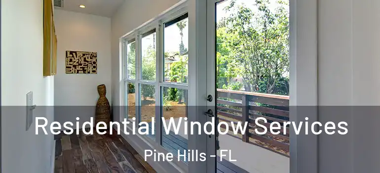 Residential Window Services Pine Hills - FL